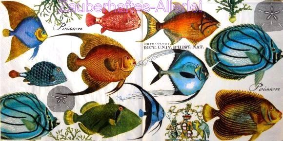 10036 Serviette Tropical Fisch - Tropische Fische