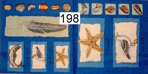 10198 Serviette Feder, Seestern, Möwe (Starfish)