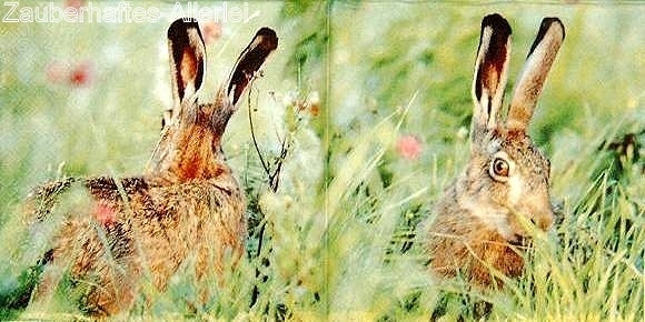 10192 Serviette Hase (Jack Rabbit)