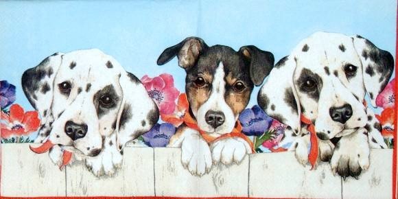 10266 Serviette Hunde (Puppies)