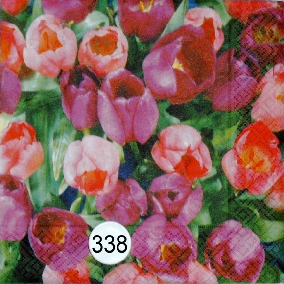 10338 Tulpen