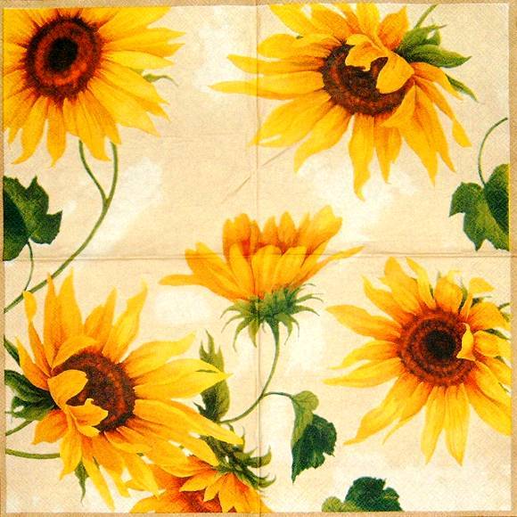 10472 Sonnenblumen (Sunshine, creme)