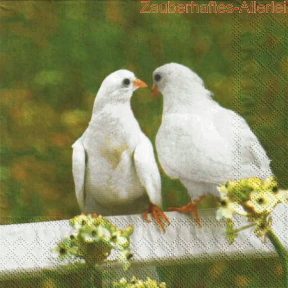 10618 Wedding Doves - Hochzeitstauben