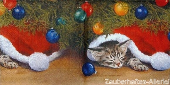 10753 Katze unter Nikolausmütze (Cats under the tree)