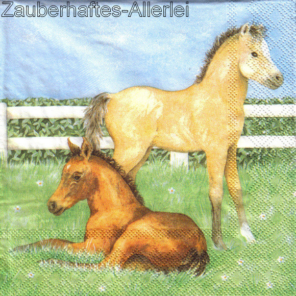 11118 Poulain - Zwei Fohlen Pferde