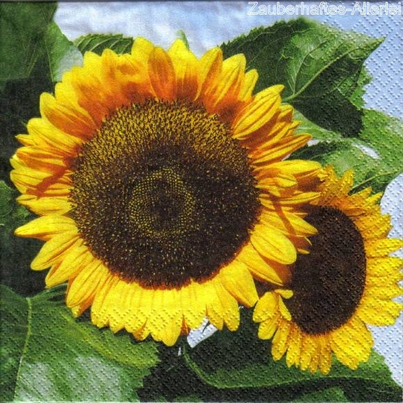 11128 Sonnenblumen (Natural Sunflower)