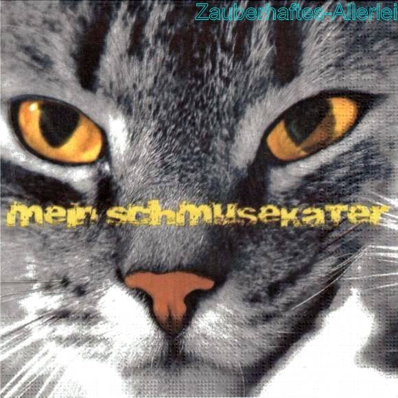 11157 Schmusekater