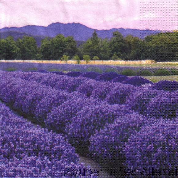 11786 Serviette Lavender Field - Lavendel Felder