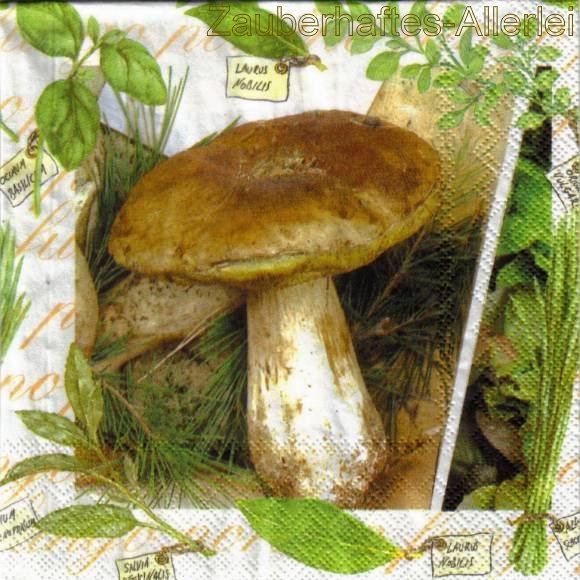 11862 Serviette Funghi - Pilze und Kräuter