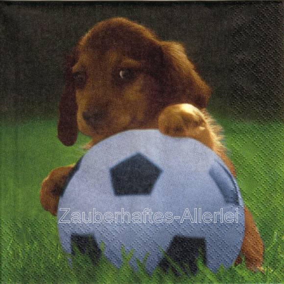 10202 Doggy Ball - Hund mit Fußball
