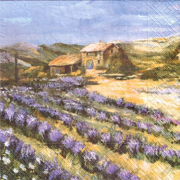 10050 Lavendelfeld