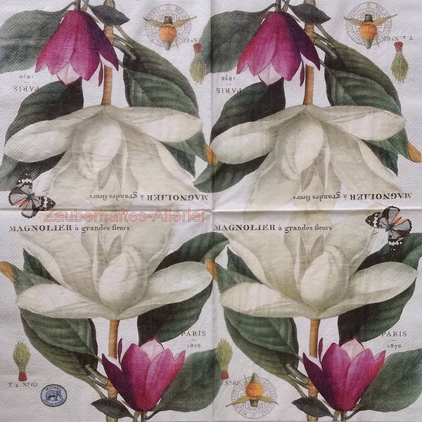 10169 Serviette Magnolia - Magnolie + Schmetterling
