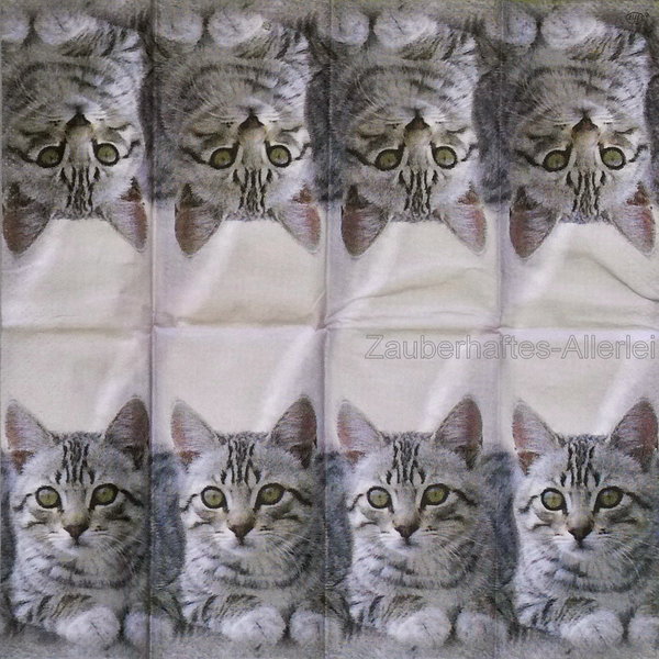 18048 Taschentuch Cuddly Cat - Wachsame Katze
