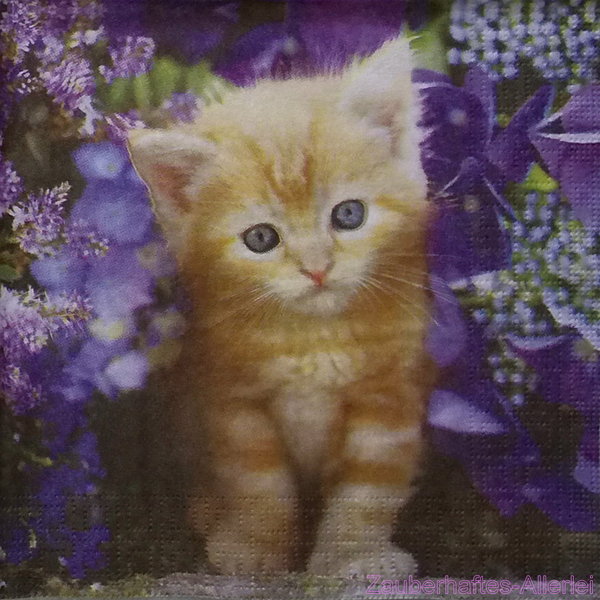 10137 Serviette Cute Kitten - Süßes rotes Kätzchen
